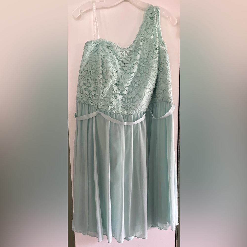 NWT David’s Bridal Formal Dress